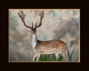 Fallow Deer Final