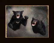 Bears All Seasons Taxidermy large