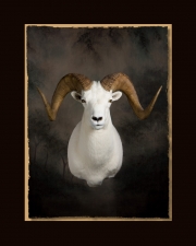 Dahl Sheep All Seasons Taxidermy large