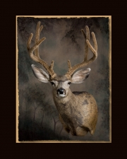 Mule Deer All Seasons Taxidermy large