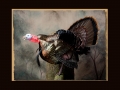 Wild Turkey All Seasons Taxidermy large